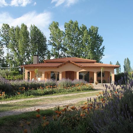 Casona Aventurados Villa Lujan de Cuyo Exterior foto