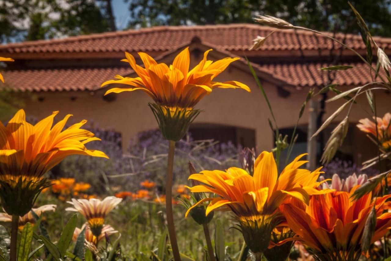 Casona Aventurados Villa Lujan de Cuyo Exterior foto
